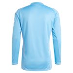 aston villa adidas goalkeeper shirt 2024-25 – long sleeve – 201964005 Collection | Official Aston Villa Kits for Fans