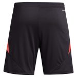 aston villa adidas goalkeeper shorts 2024-25 – 201964002 with custom printing Collection | Official Aston Villa Kits for Fans