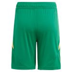 aston villa adidas goalkeeper shorts 2024-25 – 201964010 with custom printing Collection | Official Aston Villa Kits for Fans