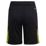 aston villa adidas goalkeeper shorts 2024-25 – kids – 201964004 with custom printing Collection | Official Aston Villa Kits for Fans