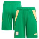 aston villa adidas goalkeeper shorts 2024-25 – kids – 201964012 with custom printing Collection | Official Aston Villa Kits for Fans