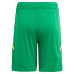 aston villa adidas goalkeeper shorts 2024-25 – kids – 201964012 with custom printing Collection | Official Aston Villa Kits for Fans