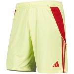 aston villa adidas goalkeeper shorts 2025-26 – kids Collection | Official Aston Villa Kits for Fans