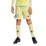 aston villa adidas goalkeeper shorts 2025-26 – kids Collection | Official Aston Villa Kits for Fans