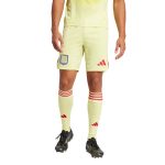 aston villa adidas goalkeeper shorts 2025-26 with custom printing Collection | Official Aston Villa Kits for Fans