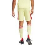 aston villa adidas goalkeeper shorts 2025-26 with custom printing Collection | Official Aston Villa Kits for Fans