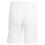 aston villa adidas home shorts 2024-25 with custom printing Collection | Official Aston Villa Kits for Fans