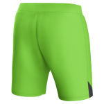 aston villa castore away goalkeeper shorts 2023-24 – kids – 13385917 with custom printing Collection | Official Aston Villa Kits for Fans